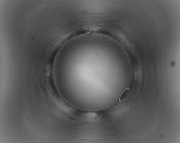 X0000093260374200709261736