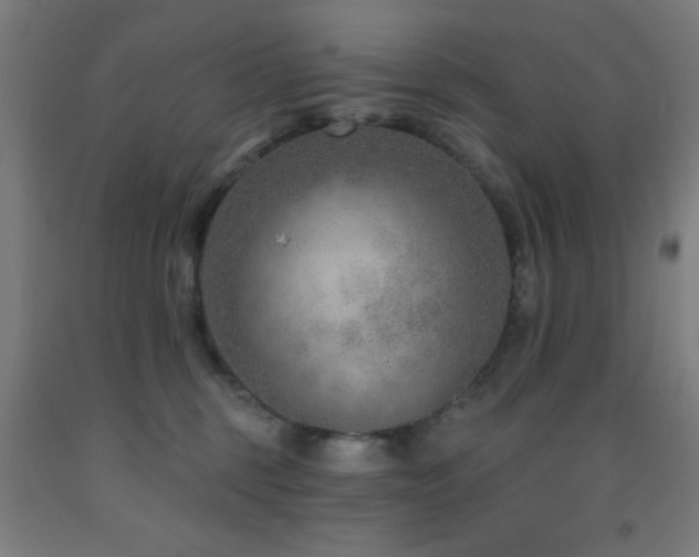 X0000093260375200709261736