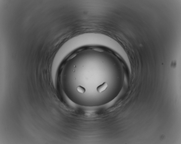 X0000093260376200709261736