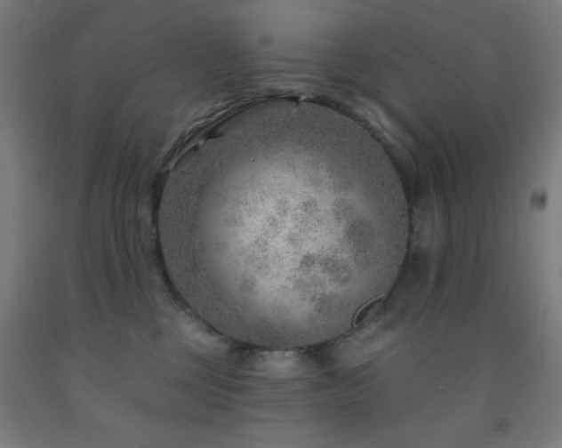 X0000093260377200709261736