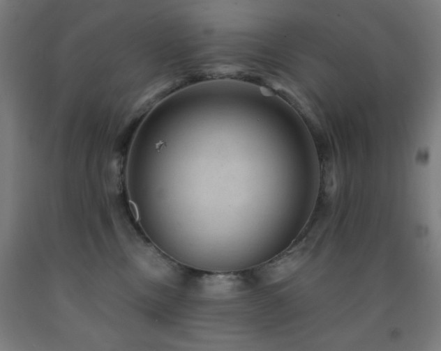X0000093260378200709261736