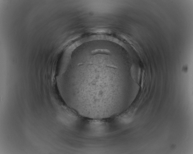 X0000093260380200709261736