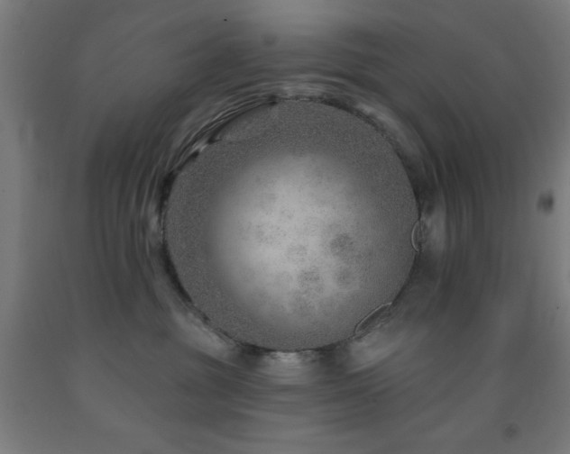 X0000093260381200709261736