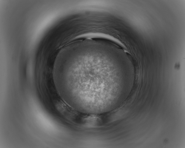 X0000093260383200709261736