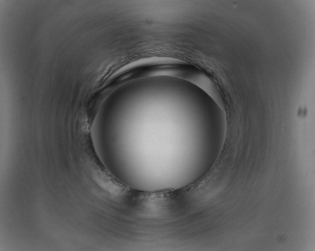 X0000093260384200709261736