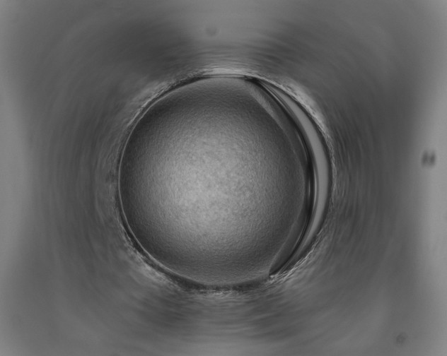 X0000093260385200709261736