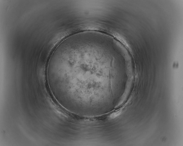X0000093260386200709261736