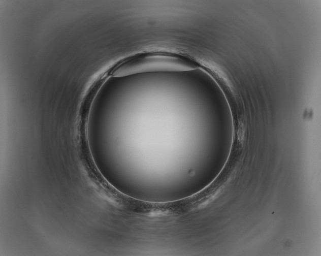 X0000093260388200709261736
