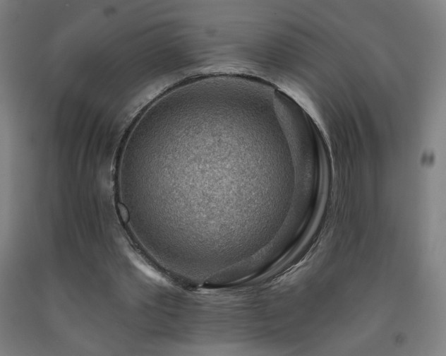 X0000093260389200709261736