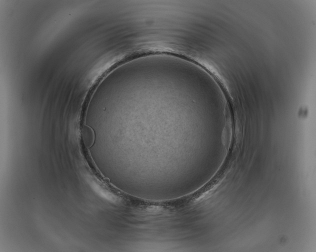 X0000093260390200709261736