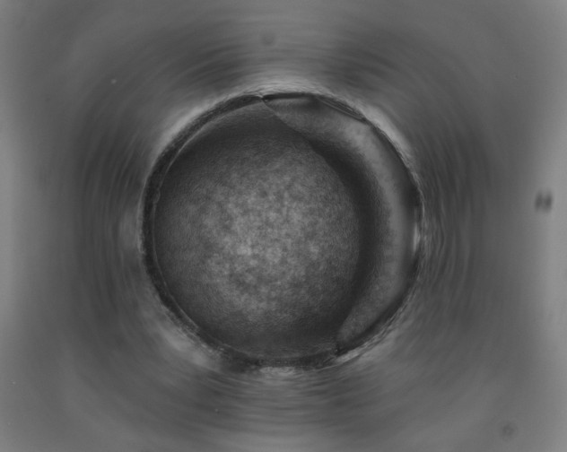 X0000093260391200709261736