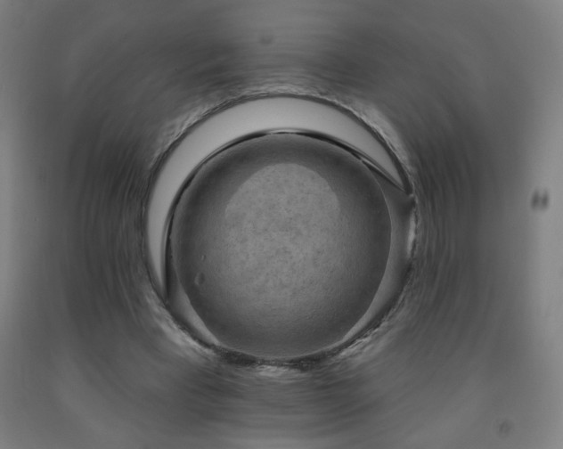 X0000093260393200709261736
