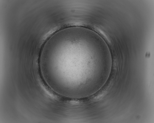 X0000093260394200709261736