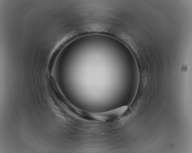 X0000093260395200709261736