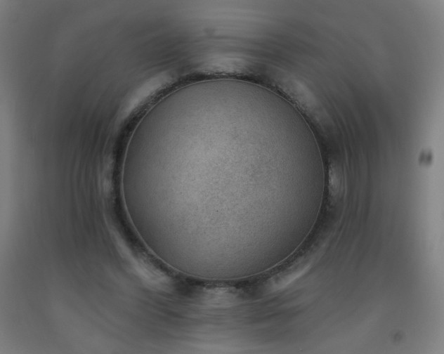 X0000093260396200709261736