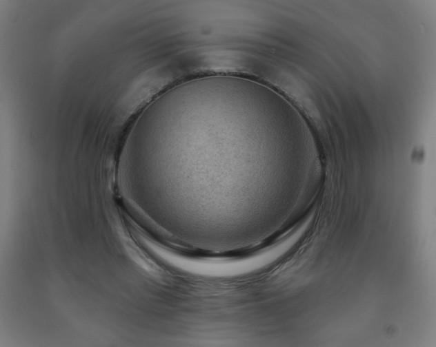 X0000093260397200709261736