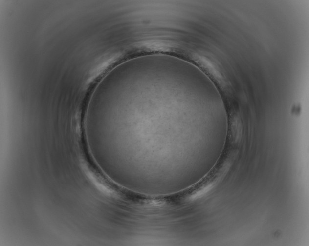 X0000093260398200709261736
