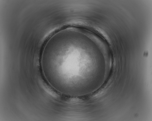 X0000093260399200709261736