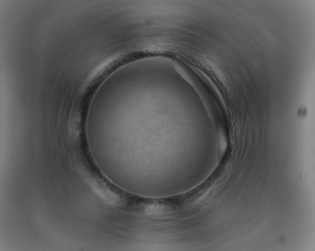 X0000093260400200709261736