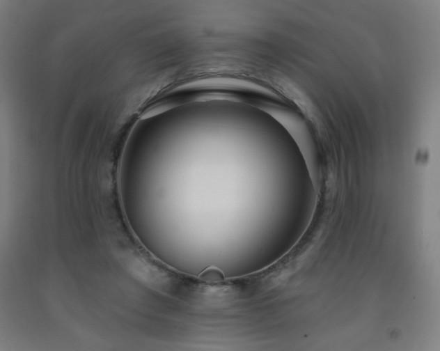 X0000093260401200709261736