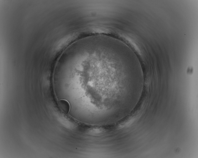 X0000093260402200709261736