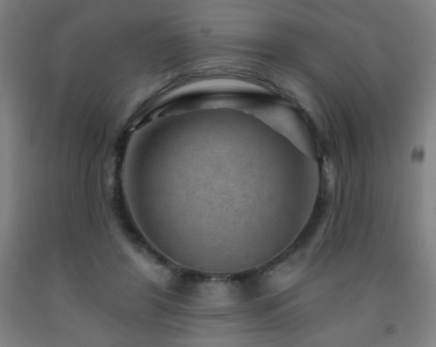 X0000093260404200709261736