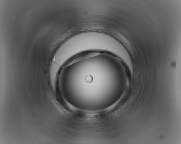 X0000093260405200709261736