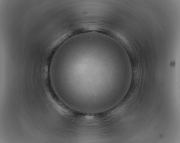 X0000093260406200709261736