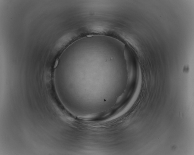 X0000093260407200709261736