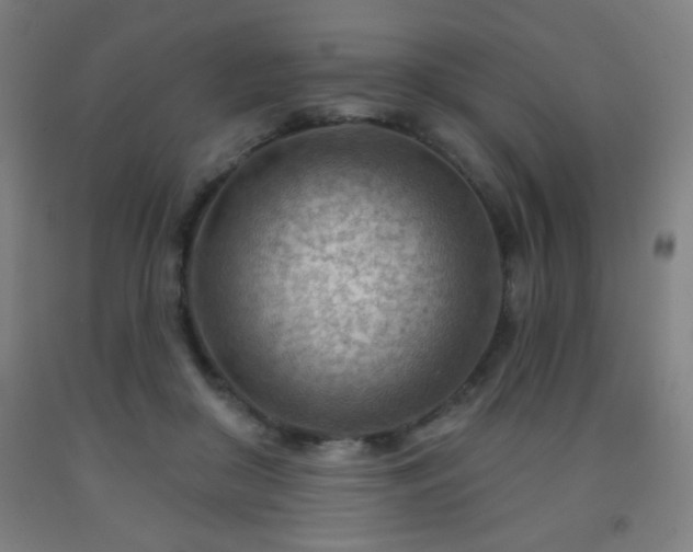 X0000093260410200709261736