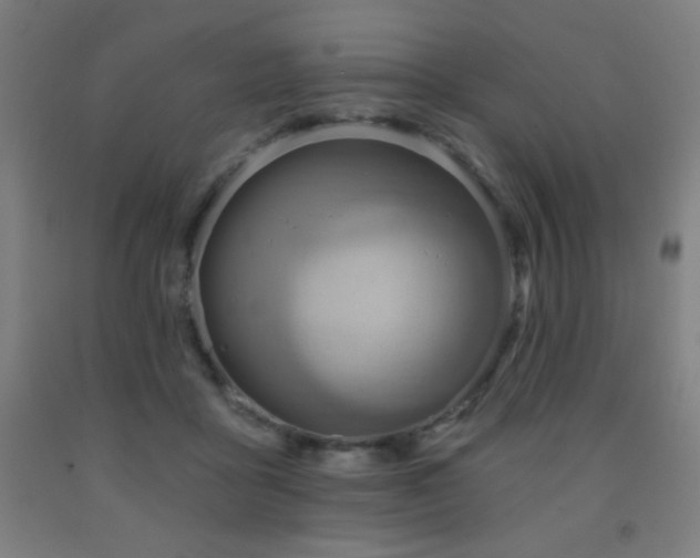 X0000093260411200709261736