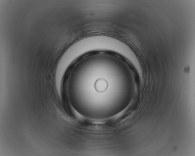 X0000093260412200709261736