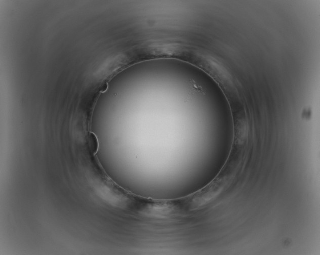 X0000093260414200709261736