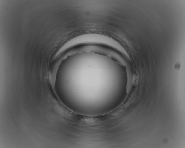 X0000093260417200709261735