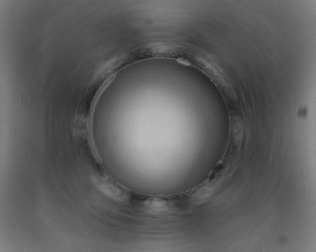X0000093260419200709261735