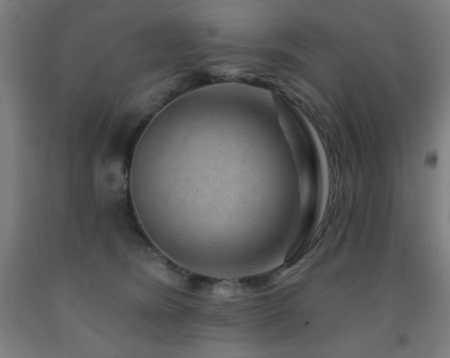 X0000093260420200709261735