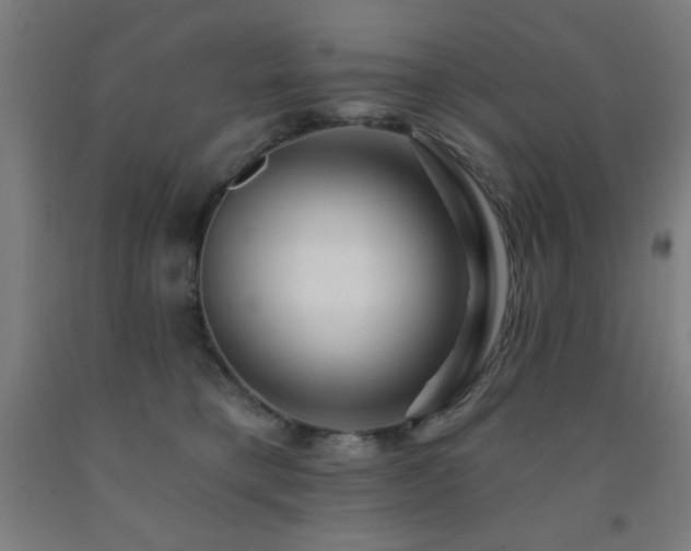 X0000093260421200709261735