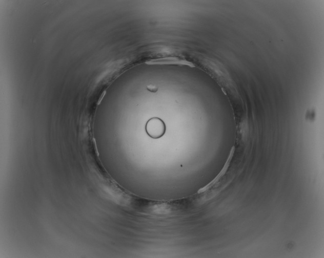 X0000093260423200709261735