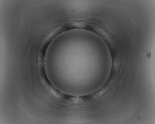 X0000093260424200709261735