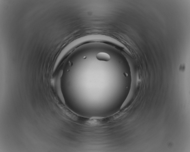 X0000093260425200709261735