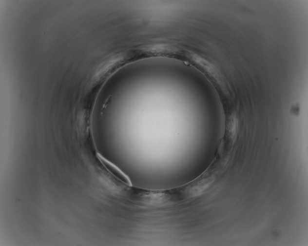 X0000093260428200709261735