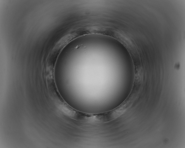 X0000093260430200709261735