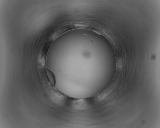 X0000093260431200709261735