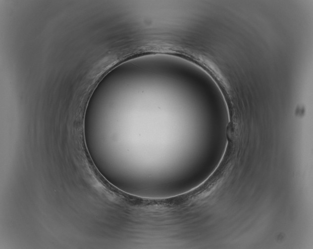 X0000093260433200709261734