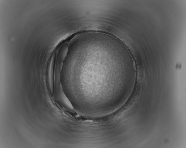 X0000093260434200709261734