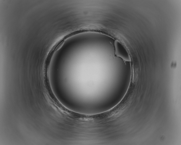 X0000093260435200709261734