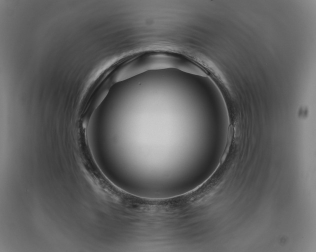 X0000093260436200709261734