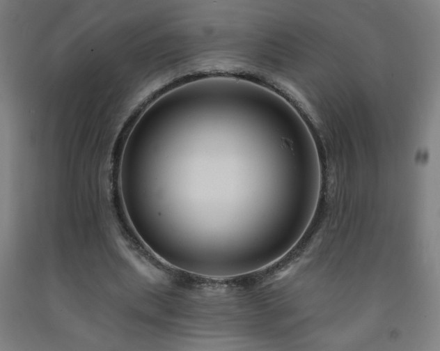 X0000093260439200709261734