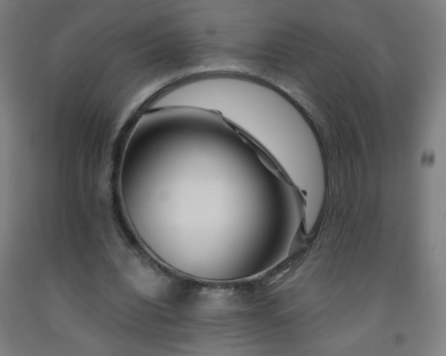 X0000093260440200709261734