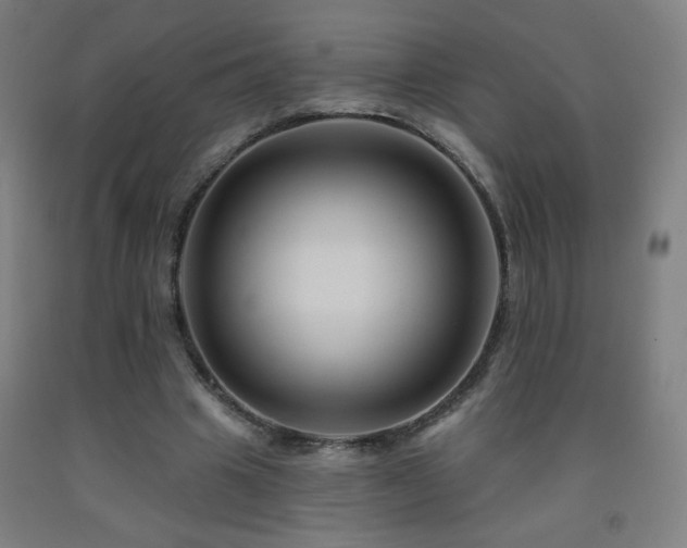 X0000093260441200709261734